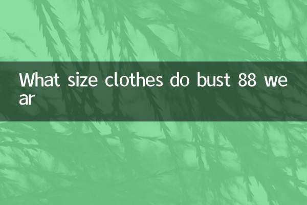 胸围88穿什么码的衣服