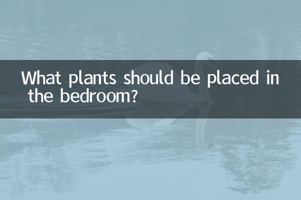 ¿Qué plantas se deben colocar en el dormitorio?