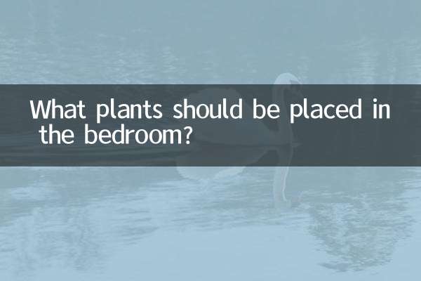 Quais plantas devem ser colocadas no quarto?
