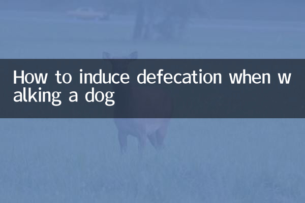 How to induce defecation when walking a dog
