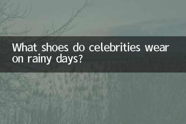 Que sapatos as celebridades usam em dias de chuva?