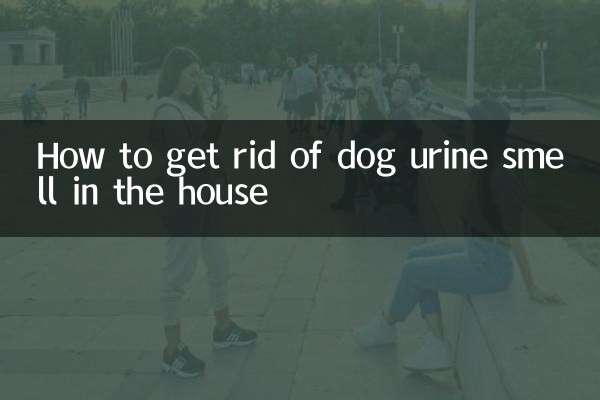 घर में कुत्ते के पेशाब की गंध से कैसे छुटकारा पाएं?