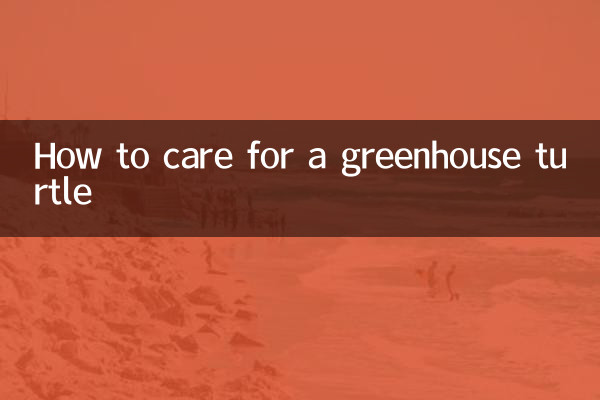 Comment prendre soin d'une tortue de serre