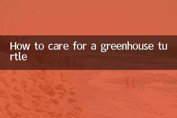 怎麼調養溫室龜