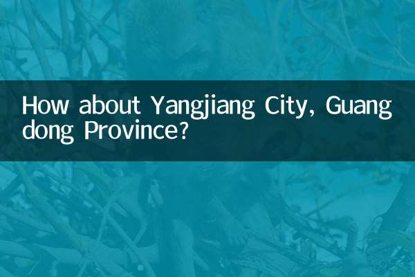 یونگجیانگ شہر ، گوانگ ڈونگ صوبہ کے بارے میں کیا خیال ہے؟