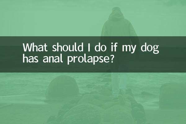 狗狗脱肛了怎么办