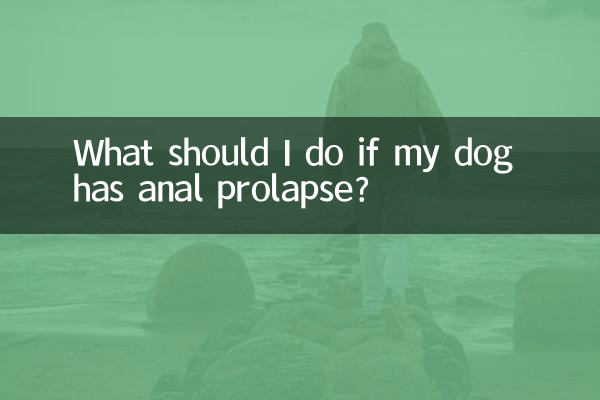 Cosa devo fare se il mio cane ha un prolasso anale?