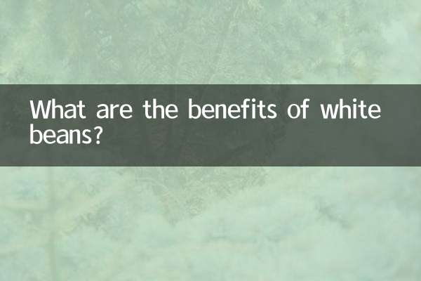 ¿Cuáles son los beneficios de los frijoles blancos?