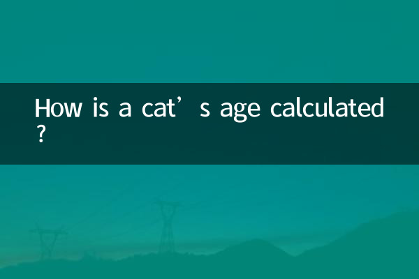 একটি বিড়ালের বয়স কিভাবে গণনা করা হয়?