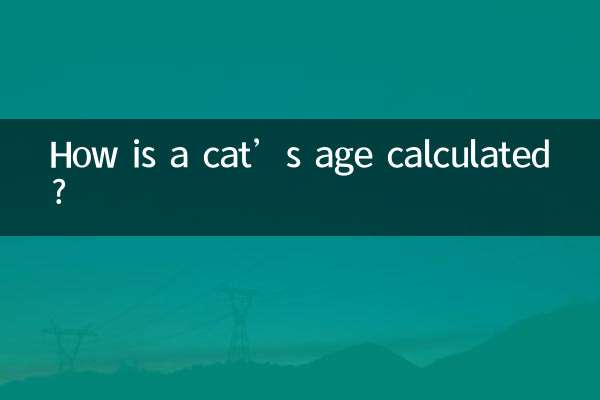 بلی کی عمر کا حساب کیسے لیا جاتا ہے؟