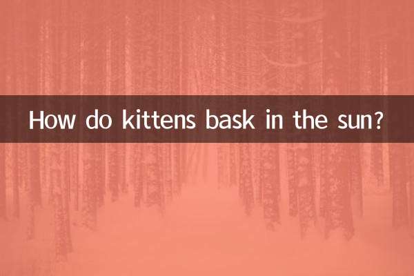How do kittens bask in the sun?