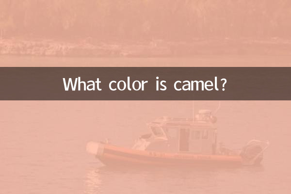 キャメルって何色ですか？