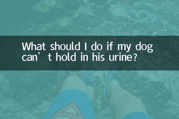 Что делать, если моя собака не может удерживать мочу?