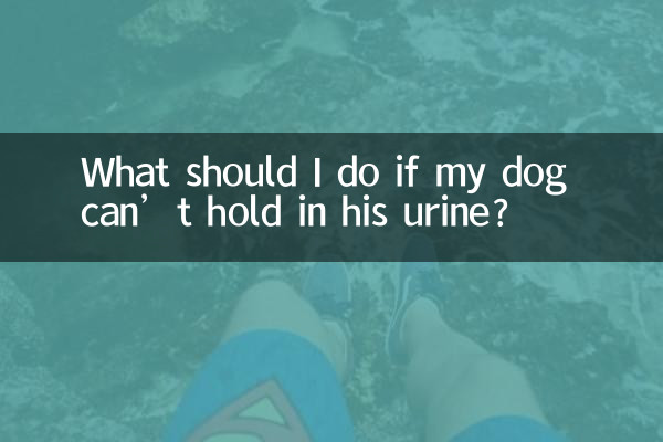Что делать, если моя собака не может удерживать мочу?