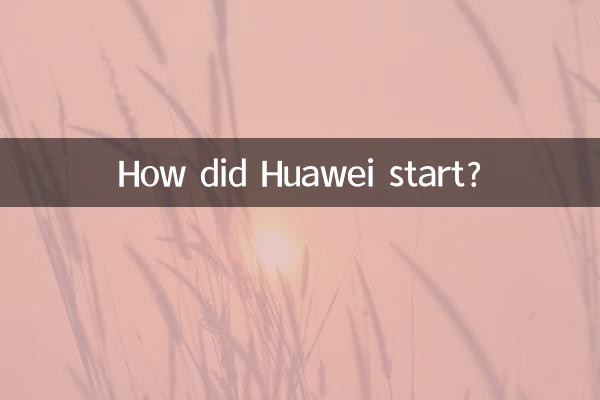 হুয়াওয়ে কীভাবে শুরু হয়েছিল?