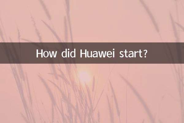 화웨이는 어떻게 시작됐나요?
