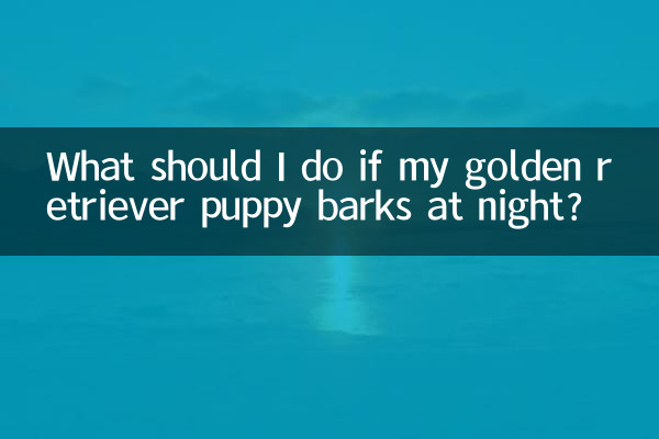 金毛幼犬晚上叫怎么办