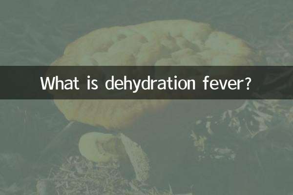 ما هي حمى الجفاف؟