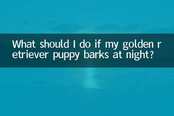 ¿Qué debo hacer si mi cachorro golden retriever ladra por las noches?