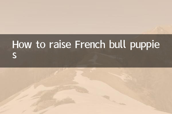 Como criar filhotes de touro francês