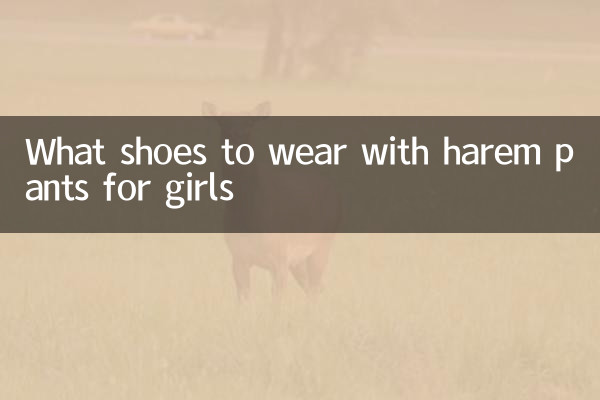 Какую обувь носить с шароварами девушке