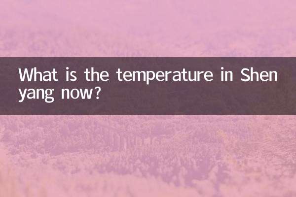 瀋陽の気温は今何度ですか?