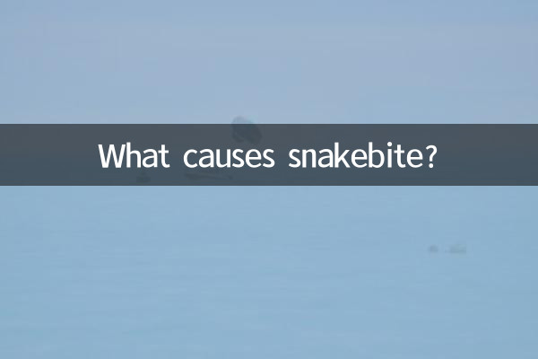 What causes snakebite?
