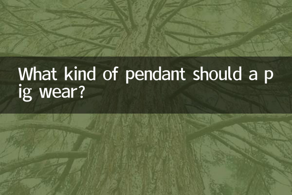 একটি শূকর কি ধরনের দুল পরিধান করা উচিত?