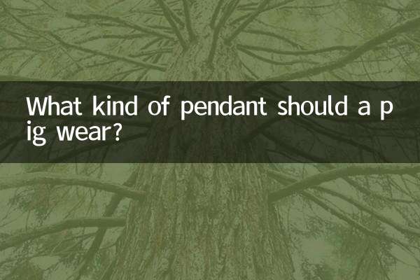 What kind of pendant should a pig wear?