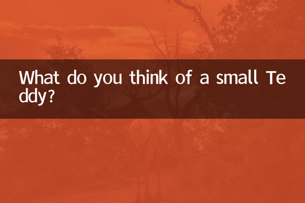Was halten Sie von einem kleinen Teddy?