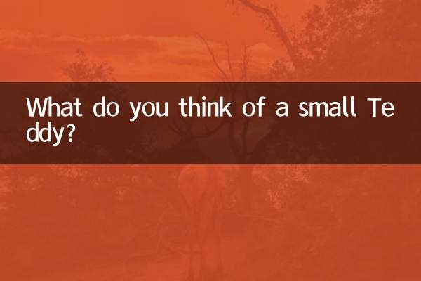 Was halten Sie von einem kleinen Teddy?