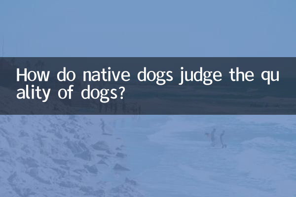 How do native dogs judge the quality of dogs?