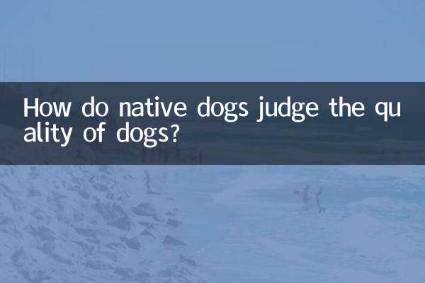 How do native dogs judge the quality of dogs?