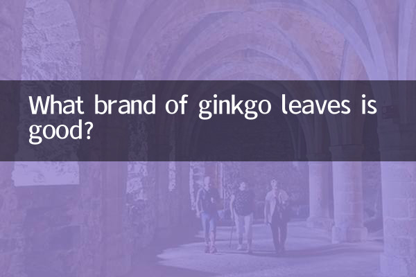 銀杏葉什麼牌子的好