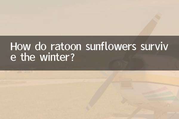 रैटून सूरजमुखी सर्दियों में कैसे जीवित रहते हैं?