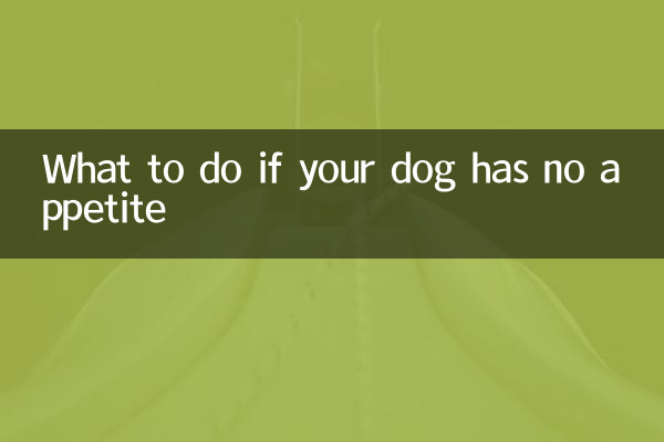 Was tun, wenn Ihr Hund keinen Appetit hat?