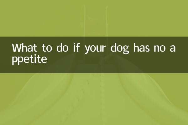 狗狗沒胃口怎麼辦