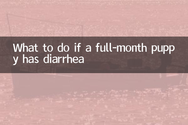 한달된 강아지가 설사를 하면 어떻게 해야 할까요?