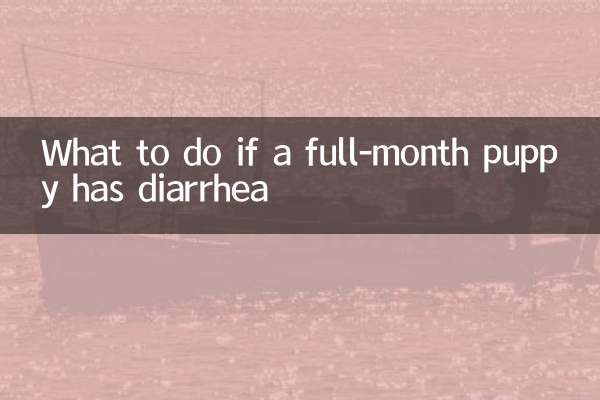 한달된 강아지가 설사를 하면 어떻게 해야 할까요?