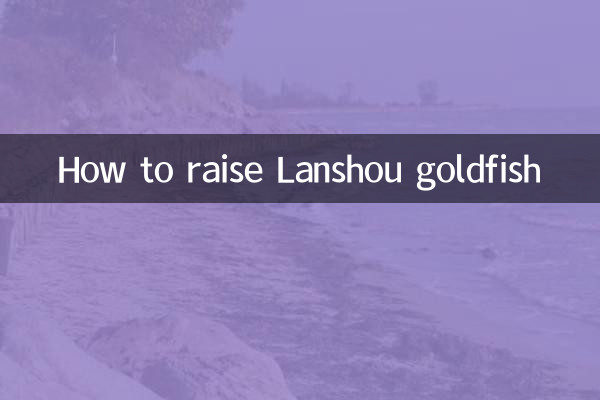 چگونه ماهی قرمز لانشو پرورش دهیم