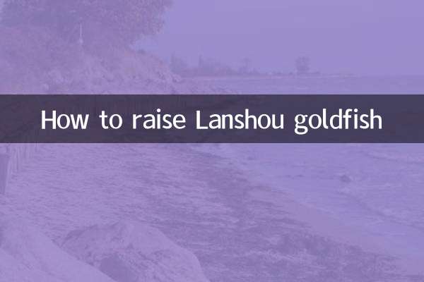 Como criar peixinho dourado Lanshou