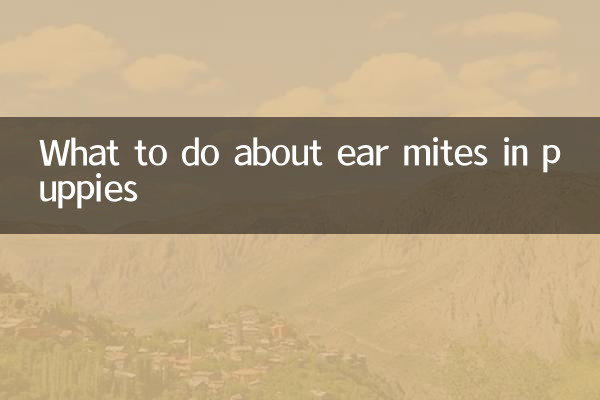 子犬の耳ダニの対処法