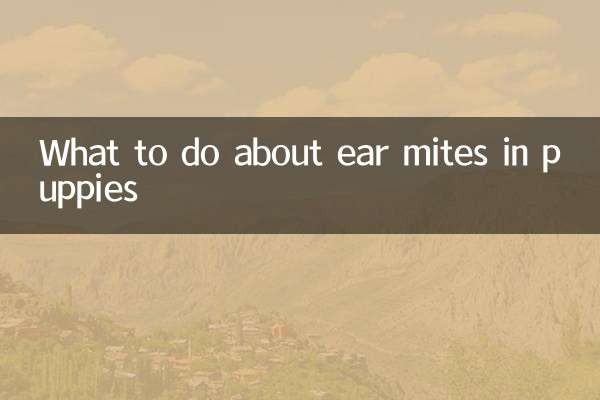 子犬の耳ダニの対処法