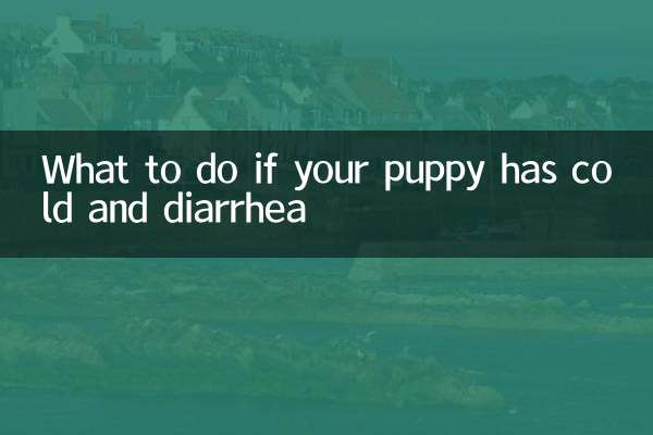 ماذا تفعل إذا كان جروك يعاني من البرد والإسهال