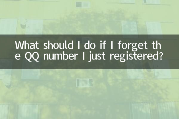 यदि मैं अपना अभी पंजीकृत QQ नंबर भूल जाऊं तो मुझे क्या करना चाहिए?
