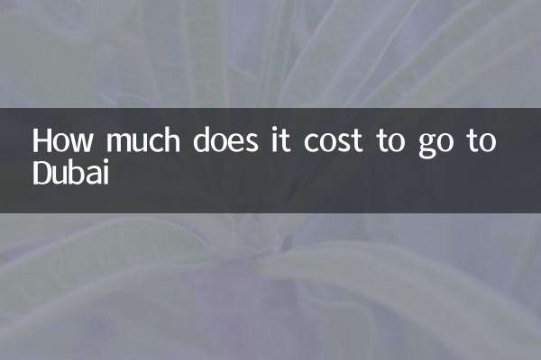 كم يكلف الذهاب إلى دبي