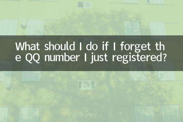 यदि मैं अपना अभी पंजीकृत QQ नंबर भूल जाऊं तो मुझे क्या करना चाहिए?