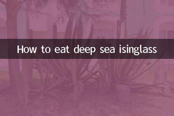 كيف تأكل ايسينجلاس في أعماق البحار
