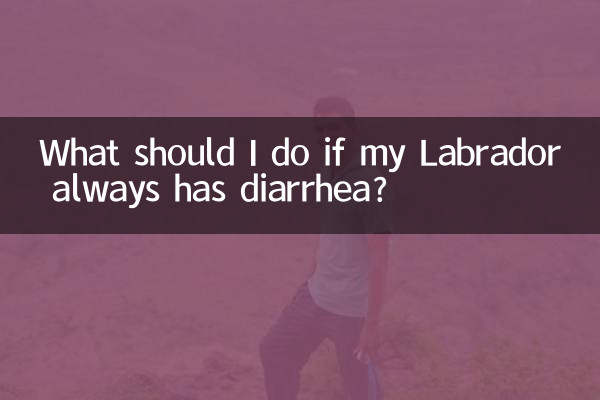 اگر میرے لیبراڈور میں ہمیشہ اسہال ہوتا ہے تو مجھے کیا کرنا چاہئے؟