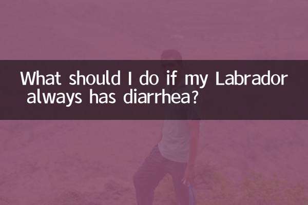 यदि मेरे लैब्राडोर को हमेशा दस्त हो तो मुझे क्या करना चाहिए?
